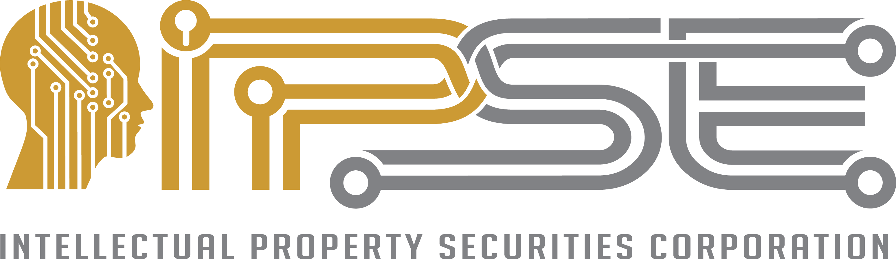 Intellectual Property Securities